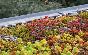 the cost of Stocking Pelham green roof installation